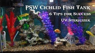 PSW Cichlid Fish Tank Update Ep #3 - UV Sterilizer and 6 Tips for Success! (HD)