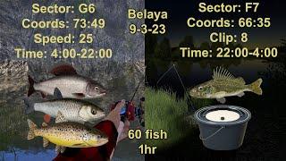 Russian Fishing 4 Belaya Active Spots 9-3-23