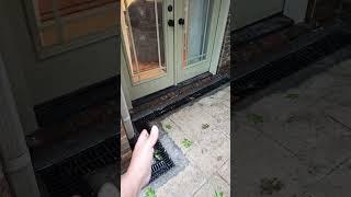 patio grate drain in Alabama