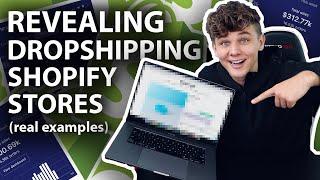 Reviewing 7 Actual Shopify Dropshipping Stores (Real Examples)