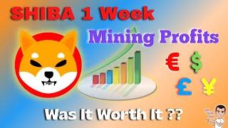 Shiba Inu Mining Profits after 1 Week using unMineable | Was it Worth It?