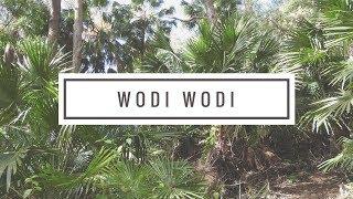 Wodi Wodi to Forest Walk, Wollongong NSW Australia | Bushwalk the 'Gong