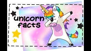 20 Cool Facts about Unicorns 