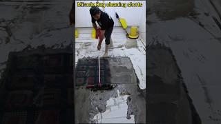 Is this the most satisfying rug cleaning you've ever seen?