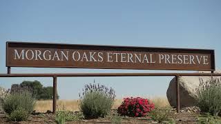 Peaceful Aerial Tour of Morgan Oaks Green Burial in Lincoln, CA | Eco-Friendly Burial Site