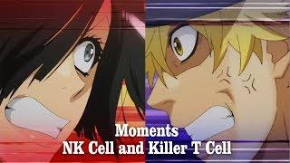 Killer T Cell and NK Cell【 Hataraku Saibou Episode 6 - 7 】