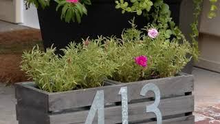 57+ Upcycled Planter Ideas that are Easy to Make | MY GARDEN TV