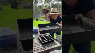 GROWING GREENS - Easy tips for growing lettuce #vegetablegardening  #growveg #lettuce