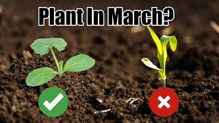 10 Vegetables to Plant in March 2025