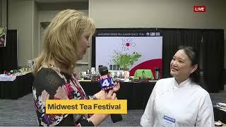 Fox4 News Interview with Dr. Sally Wei