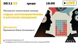 Московский этологический семинар «Судьба антропоморфизма в изучении поведения»