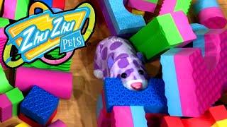 Zhu Zhu Pets Smashing Everything for 5-Minutes Straight