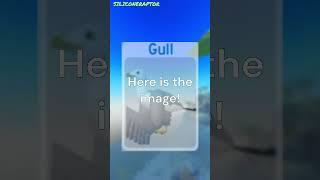 Feather Family Mini Facts #2 - The Gull! #featherfamily #roblox