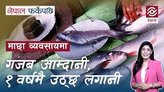 माछा व्यवसायमा गजब आम्दानी, १ वर्षमै उठ्छ लगानी | Fish Farming | Nepal Farkeypachi | Episode 1