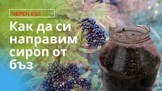 Elderberry syrup (elderberry) how to make step by step.