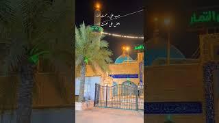 Haider Mola #yaali #viralvideo #trending #top #najaftokarbalawalk #shia #azadari #eideghadeer #eid