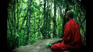 Progress of insight Vipassana Meditation - Podcast Buddha Dhamma - Theravada Buddhism