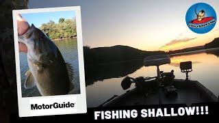 Super Shallow River Bassin! #fishing #bassfishing #fishingvideo