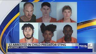 12 arrested in child predator sting