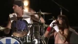 Red Hot Chili Peppers in Yokohama, Japan, 25.07.2004 COMPLETE MULTICAM