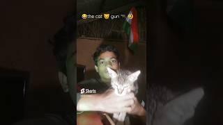 the cat gun  #shorts ll shorts gone wrong ll =Nikhil Kodape vlogs #trend #viral vira