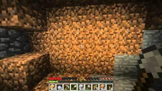 Minecraft: Shenanigans 1H Special with MisterRaiz0r and ThatLikeGuy