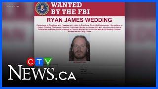 Former Canadian Olympian turned drug lord Ryan Wedding on FBI's most wanted with $10M bounty