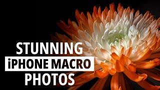 Secrets to Stunning iPhone Macro Photos