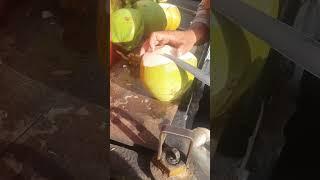 Slicing Coconut: The Most Satisfying Craftsmanship