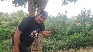 Por San Juan los perros Aullaran . De to la vida como esta el personal