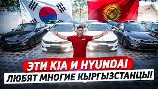 KIA и HYUNDAI – Любимые АВТО Кыргызстанцев! Почему их так много покупают?