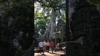 Angkor Nov Sen guide and driver