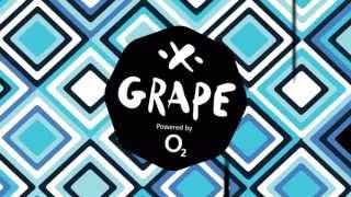 AFTERMOVIE | GRAPE festival 2013 - Gluuu.tv Zone | gluuu.tv