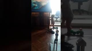 Сама включает телевизор