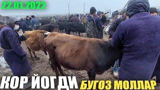 БУГОЗ МОЛЛАР НАРХИ ЖУМА МОЛ БОЗОРИДА АРЗОН БУЛДИ