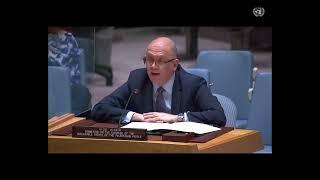 Statement of the UN Palestinian Rights Committee Vice-Chair, Security Council meeting, 25 Apr 2022