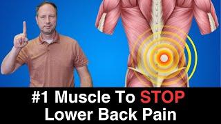 STOP LOWER BACK PAIN FOR GOOD:  #1 Muscle to Strengthen and 3 Exercises For Fast Relief