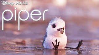 Piper | Stream On Disney+ | Disney UK