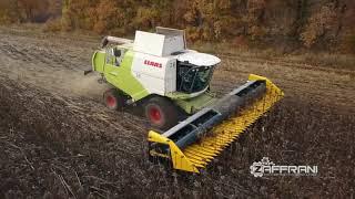 Why do farmers choose Zaffrani rowless sunflower header?