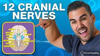 How to Memorize the 12 Cranial Nerves with Mnemonics: Order, Function & Memory Tricks