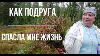 Татьяна. За грибами  в финский лес. Как Светлана спасла мне жизнь. Сезон 2019