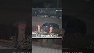 Человек-невидимка в Приднестровье