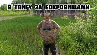 Идем в тайгу, ищем сокровища, наследие военных ! Не может быть....