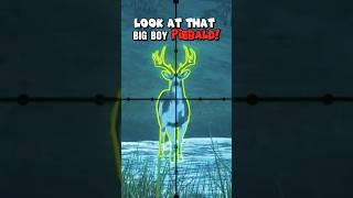 SUPER RARE?!? MEGA PIEBALD!!! The Hunter: Call of the Wild