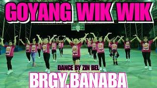 GOYANG WIK WIK - GOYANG | WIKWIK | DANCE REMIX | DANCE FITNESS| SIMPLE DANCE BY ZIN BEL