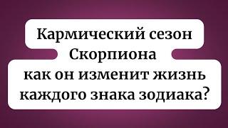 Кармический сезон Скорпиона. Как изменит жизнь каждого знака зодиака?