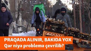 Praqada alınır, Bakıda yox: Niyə qarın öhdəsindən gəlmək mümkün olmur?