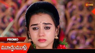 Moodu Mullu- Promo |23 Nov 2024  | Telugu Serial | Gemini TV