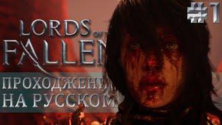 ПЕРВЫЙ БОСС Lords of the Fallen  ШИРОКИЙ ФОРМАТ  RELIKT Stream