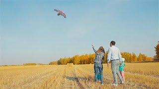 Family Story | Один день счастливой семьи. Семейная видеосъемка в СПб